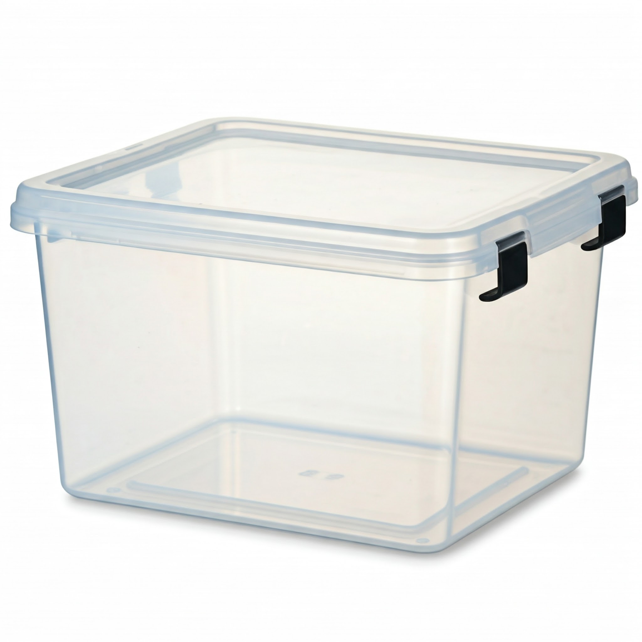 Different types of mushrooms