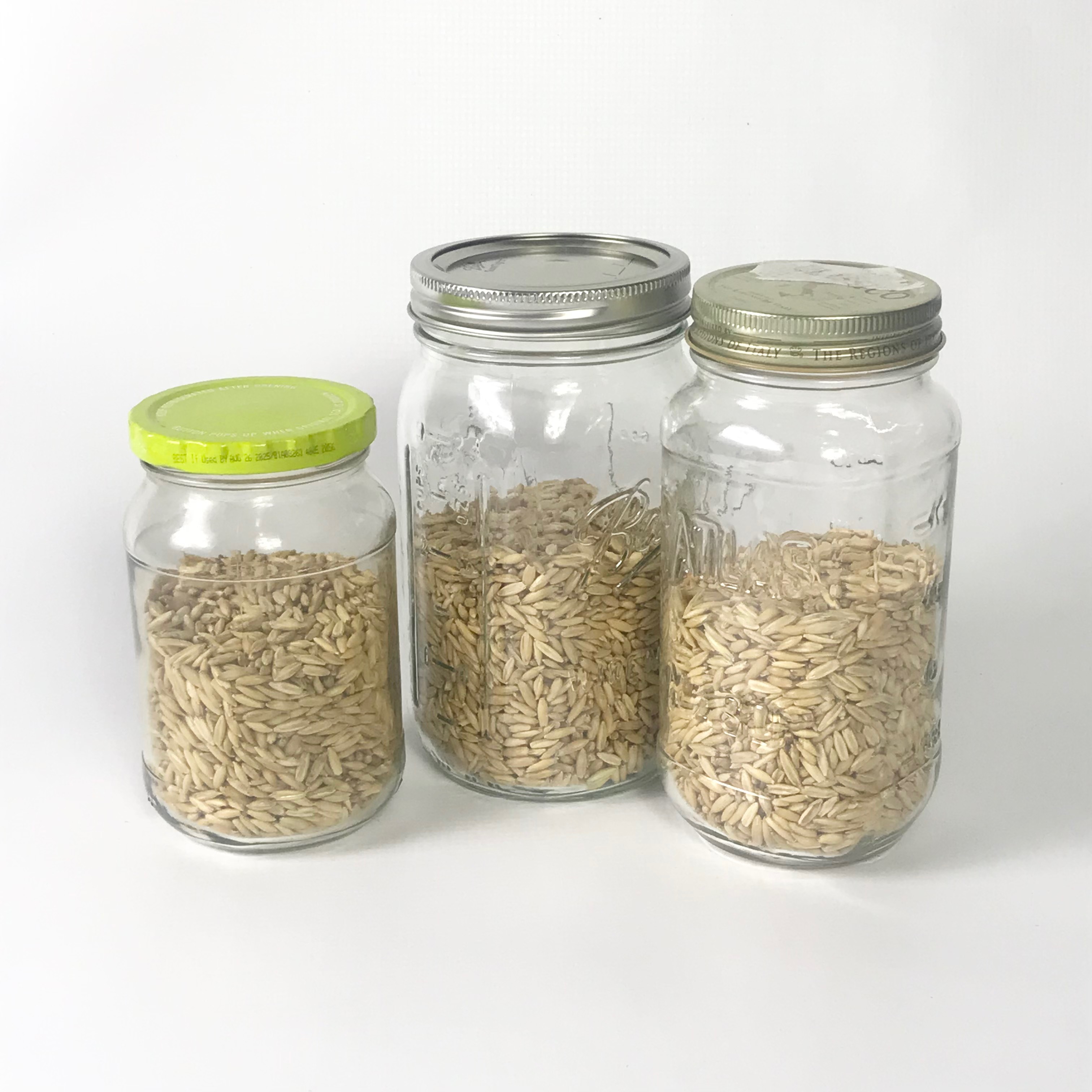 Preparing the growing medium